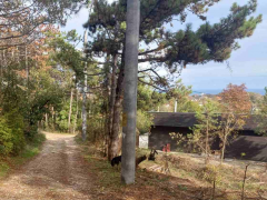 Имоти Варна